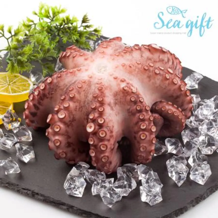 냉동 자숙 통문어 700g 9/11 숙회 슬라이스 제수용 이미지