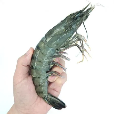 블랙타이거새우 10미 5kg(500g x 10ea) 이미지