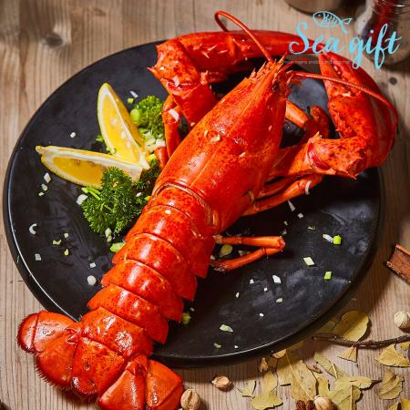 캐나다 자숙 랍스터 1미 800g-1.1kg 왕특대 냉동 랍스타 바닷가재 - 최저가 사업자 식자재 | 식봄