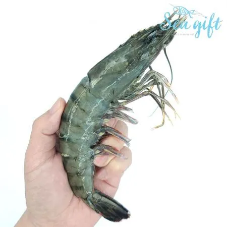 블랙타이거새우 15미 5kg(500g x 10ea) 이미지