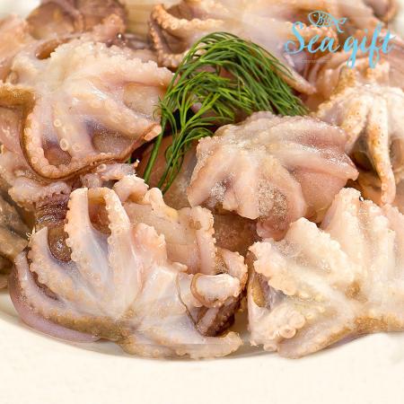 냉동 손질 쭈꾸미 2.4kg 15미