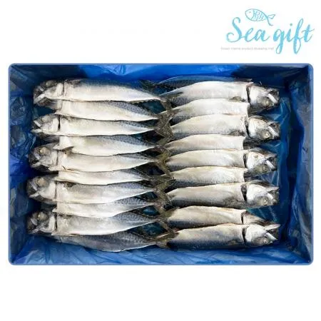 국내산 자반고등어 12.5kg 내외 16손 손질 간고등어 필렛 업소용 식당용 도매