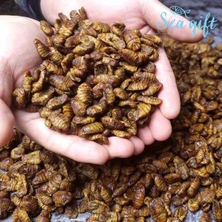 번데기 16kg(4kg x 4ea) 이미지