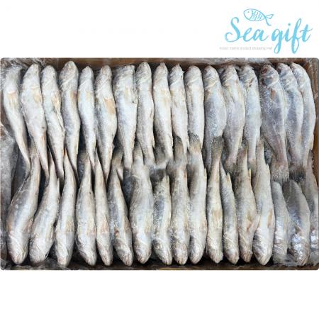 민어조기 10kg 냉동 긴가이석태 제수용 업소용 대용량