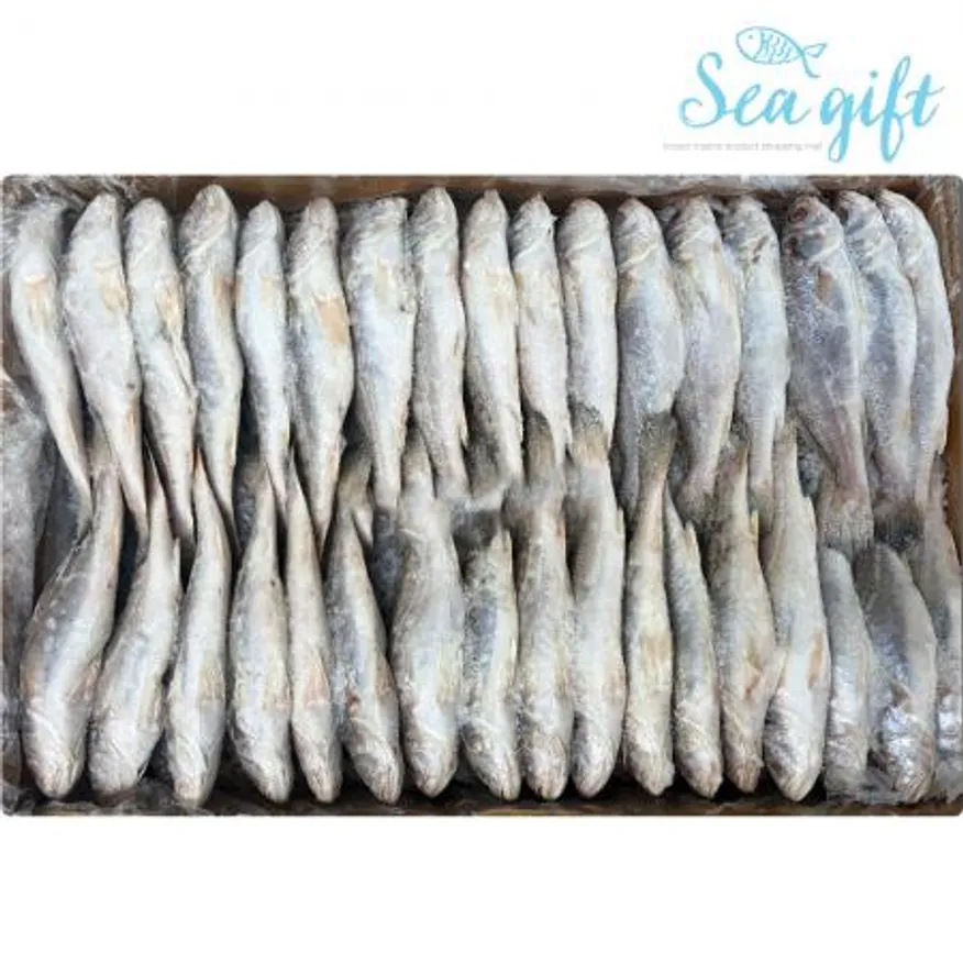 민어조기 10kg 냉동 긴가이석태 제수용 업소용 대용량 이미지