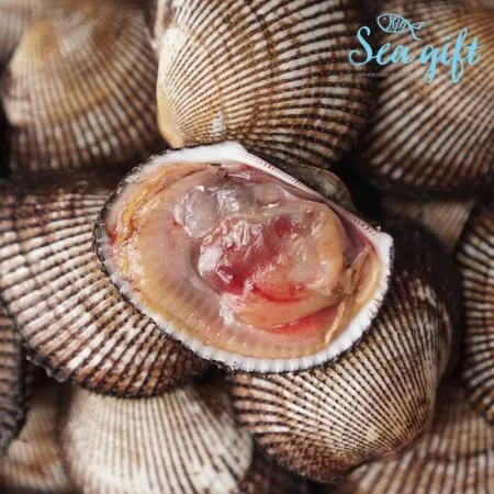 냉동 피조개살 10kg 손질 깐 조개살 피꼬막살 업소용 이미지