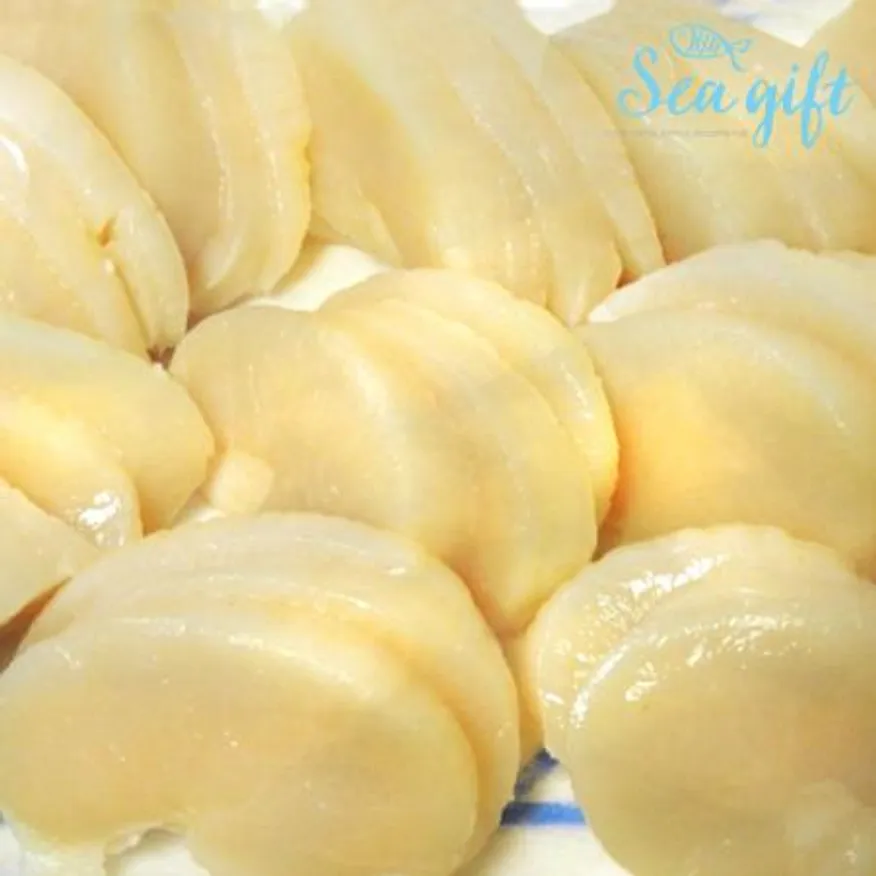 냉동 키조개관자 10kg(1kg x 10팩) 21/25 개아지살 벌크 업소용 이미지