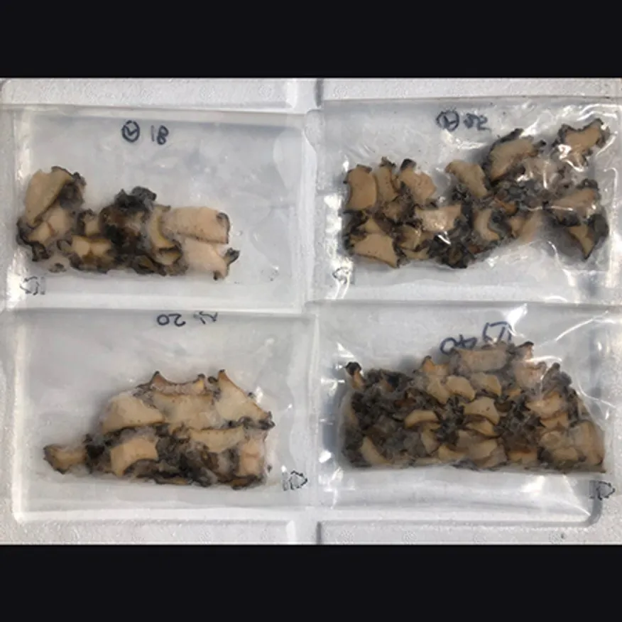 격자무늬 활급냉 손질전복 이미지