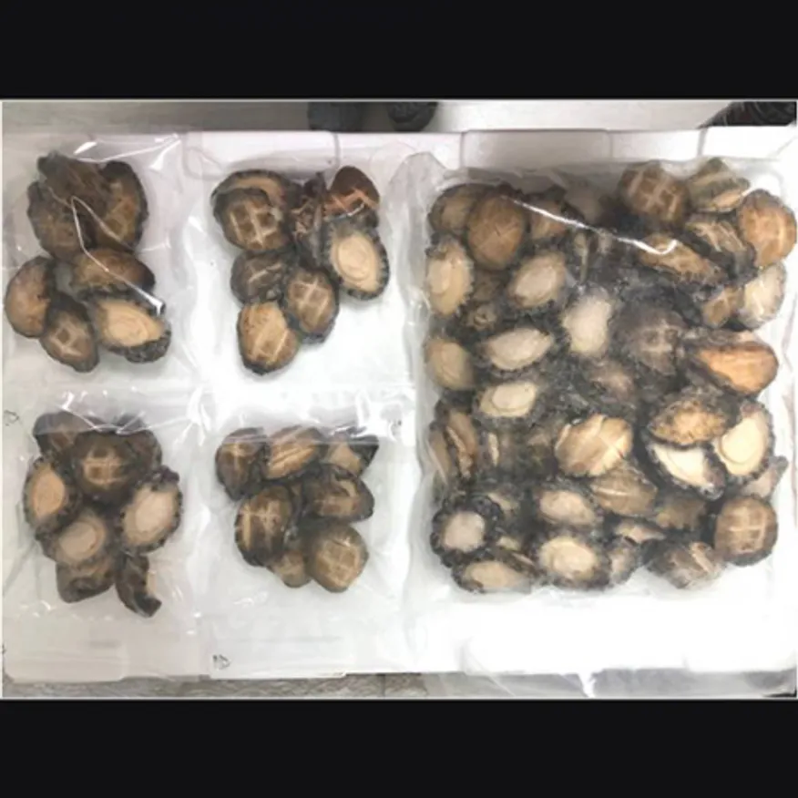 격자무늬 활급냉 손질전복 이미지