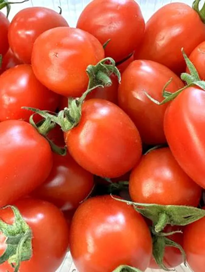 가온) 국내산 대추방울토마토 750g (1번~2번사이즈) 이미지