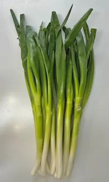 가온) 국내산 깐대파 1kg