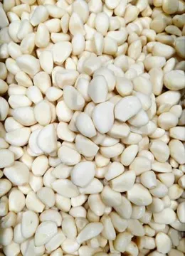 ★식봄최저가★ 가온) 국내산 꼭지 제거 깐마늘(大)(대) 1kg