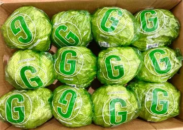 가온) 국내산 양상추 포장12구