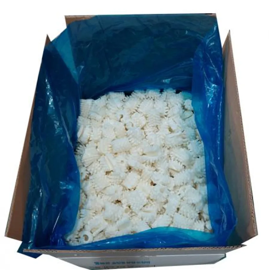 올바른 모양 오징어 10kg 솔방울오징어 칼집오징어 이미지