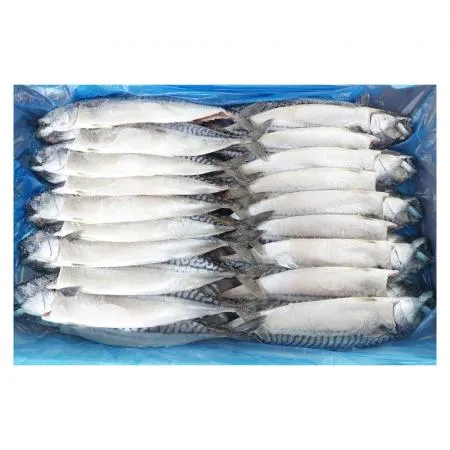 동아푸드 노르웨이 간고등어 중 10손 5kg 고등어 자반 구이 이미지