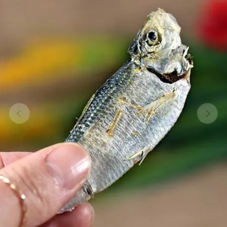 국산 밴댕이 디포리 명품 띠포리 200g 건어물 육수재료 국물용 식자재 업소용 이미지