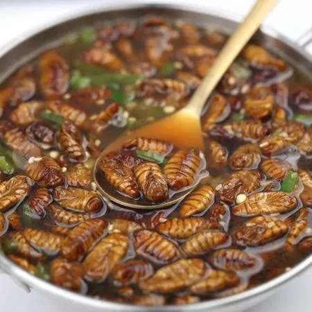 냉동 번데기 대용량번데기 영양간식 기본안주 1kg 대용량 식자재 술안주 업소용 호프집 영양 간식 고단백 이미지