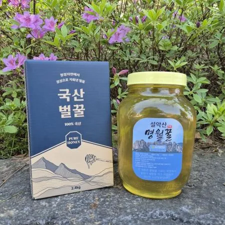 VNH 사양 아카시아벌꿀 2.4kg 1개 설악산 명월꿀 국산 이미지