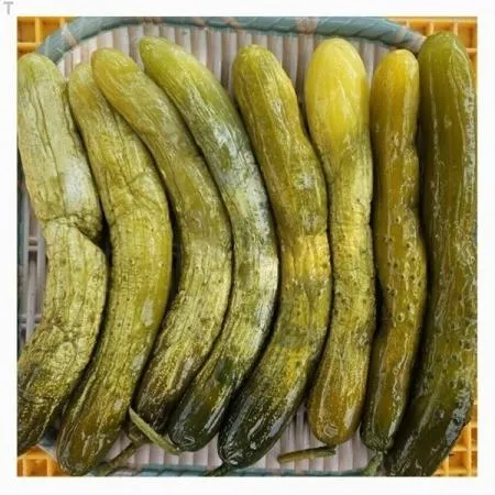 삼둔농원 오대산 오이지 절임 1kg