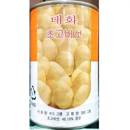 초고버섯캔 (대화 415g)X24 이미지