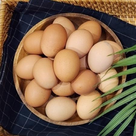 1+등급 특란 60구 계란 달걀 신선란 식자재 업소용 급식재료 식당 대용량