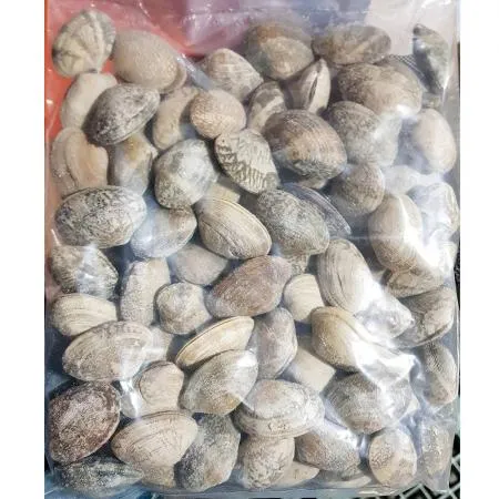 피바지락(600g)X26 바지락 냉동바지락 자숙바지락 업소용 식자재 대용량 수산물도매 해산물 조개요리