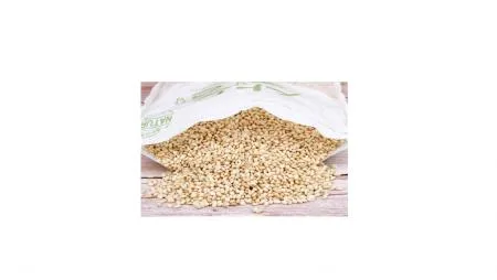 산담들담 찰현미 1kg 1개 식자재 업소용 대용량 농협 년 올가 당일도정 황금눈쌀 판매 이로운곳간 해담산들 이미지