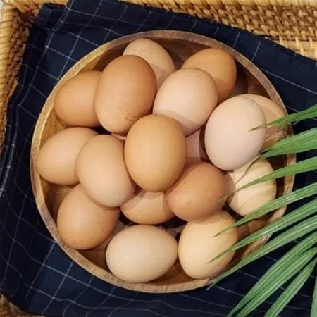 동물복지 난각 2번 유정란 60구 계란 달걀 난각2번 신선란 식자재 업소용 급식재료 대용량 이미지