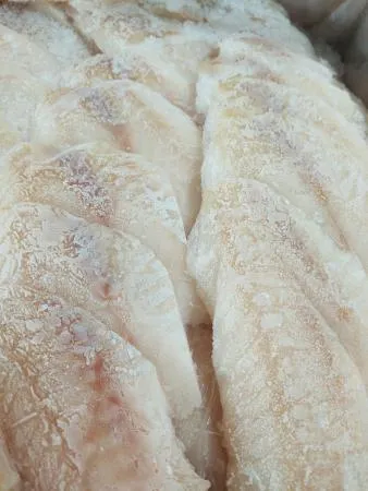냉동 동태포 부침용 10kg 오성씨푸드 이미지