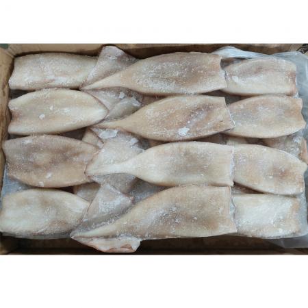 냉동오징어 튜브 (150/170) 10kg 오징어순대