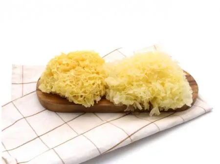 건 백목이버섯 은이버섯 1kg 말린버섯 이미지