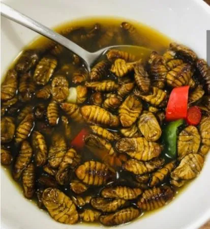 미노푸드 냉동 번데기 4kg x 1개 이미지