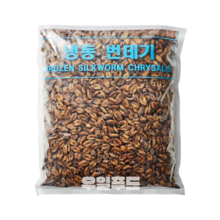 냉동 번데기 4kg 이미지