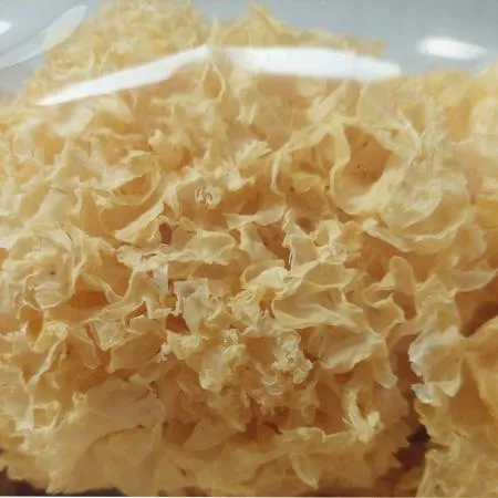 건 백목이버섯 은이버섯 1kg 말린버섯 이미지