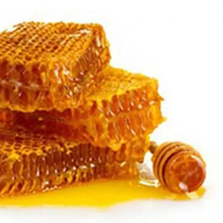 허니팜 국내산 100% 사양벌꿀 500g 이미지