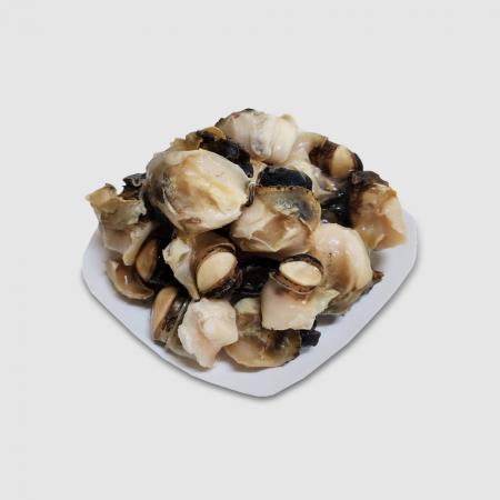 피뿔고둥살 참소라살 M 1kg 최상품질