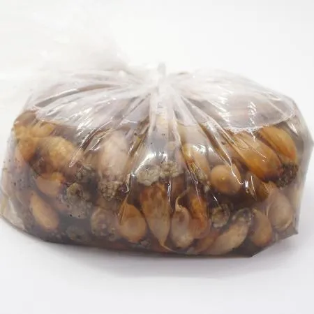 손질 미더덕 1kg 통영 생물 오만둥이 미더덕회 이미지