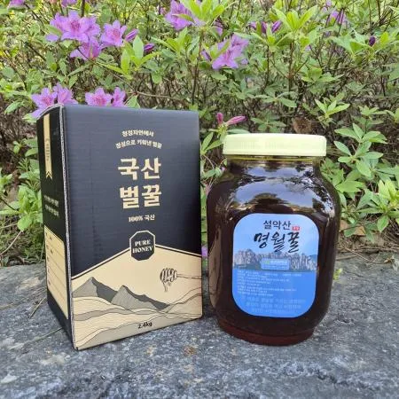 사양 밤나무꿀 2.4kg 1개 설악산 명월꿀 국산꿀 업소용