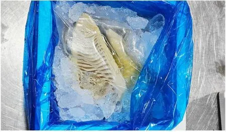 맹종죽순 1kg 업소용 삶은죽순 분죽 이미지