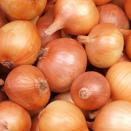 국내산 특품선별 단단한 햇 무안 장아찌 반찬 양파 중형 2kg