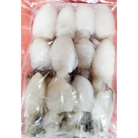갑오징어(냉동 베이비이까 200g) X12 업소용 냉동오징어