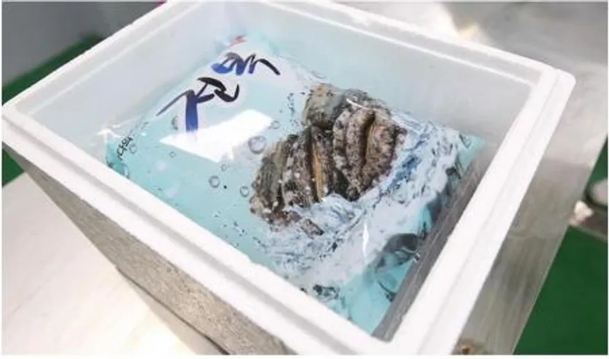 완도전복 1kg 업소용 활전복 10미 이미지