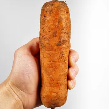 국내산 당근 특품 특 3kg