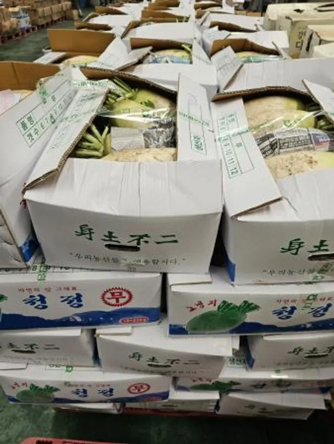 국내산 무 16~20kg 이미지