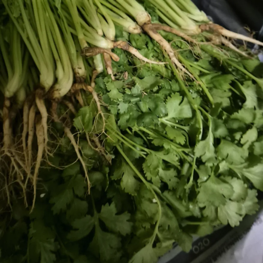 고수 1kg ( 약 1단 x 3.4개 ) 이미지