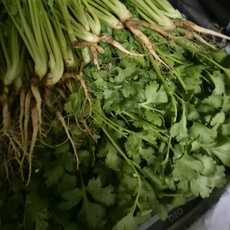 고수 1kg ( 약 1단 x 3.4개 ) 이미지