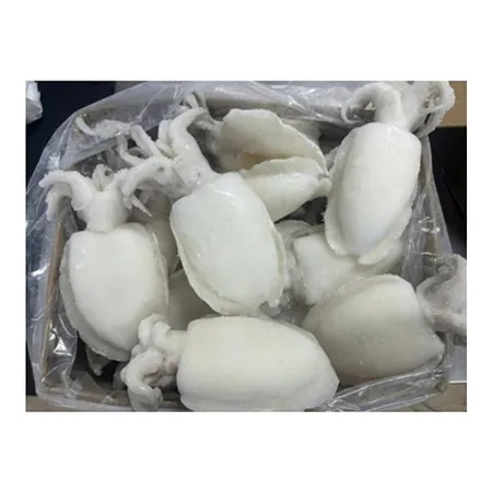 홀크린갑오징어 5kg