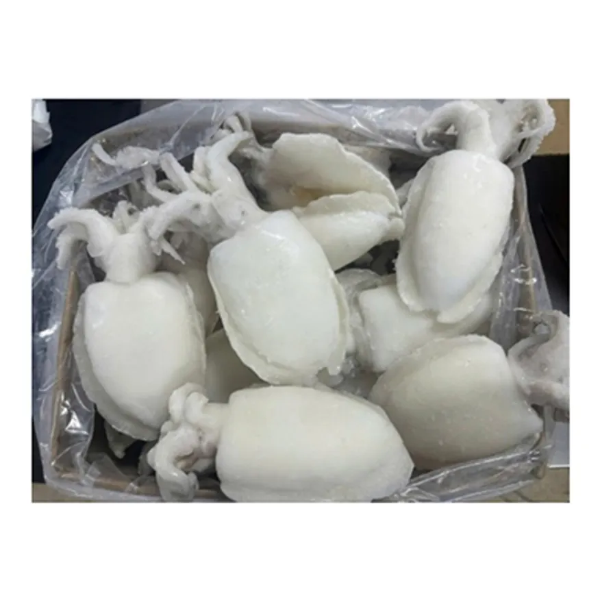 홀크린갑오징어 5kg 이미지