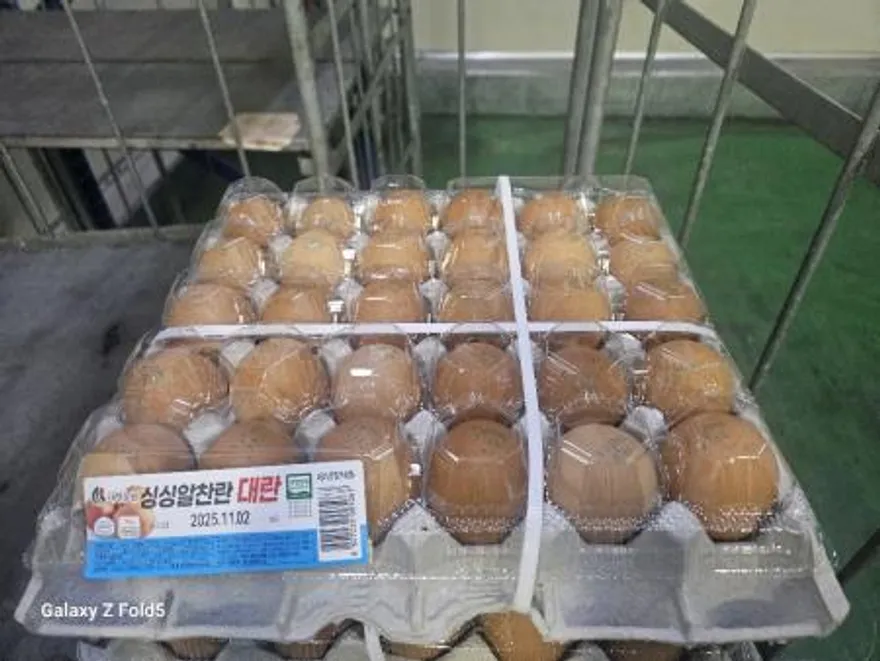국내산대영N계란대란(30구,냉장)개 이미지