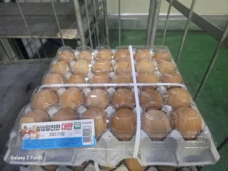 국내산대영N계란대란(30구,냉장)개 이미지